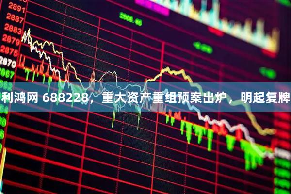 利鸿网 688228，重大资产重组预案出炉，明起复牌